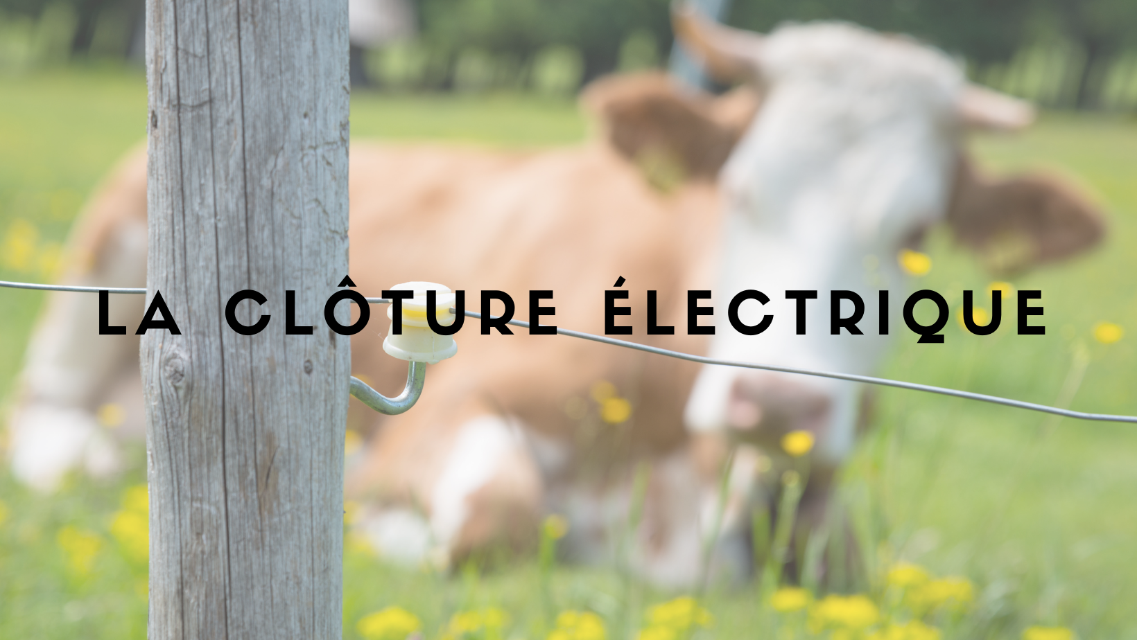 Comment poser un poste clôture électrique ?